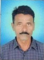 Org Officer Photo